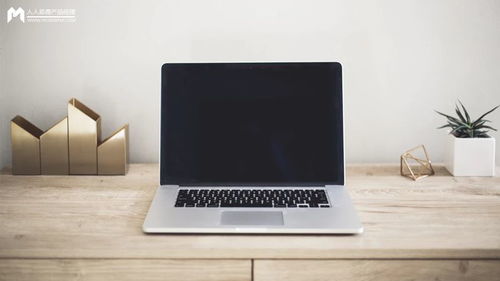 模型产品市场规模计算与销售策略分析