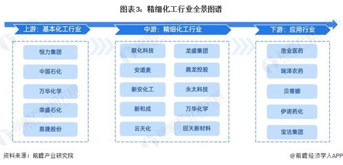 预见2024 中国精细化工产业全景图谱、市场规模、竞争格局与发展前景